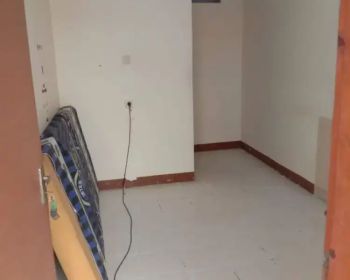 Over kontrakan cicadas