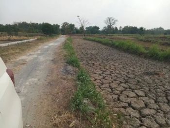 Tanah sawah utk perumahan/industri