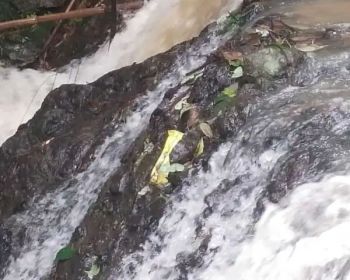 jual lahan murah LT 5000m², girik, ada air terjun dan pohon durian