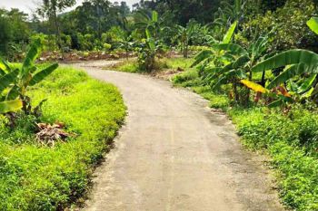 Tanah Murah Citeureup Bogor 2000m² Dekat Gerbang Tol Sentul 1