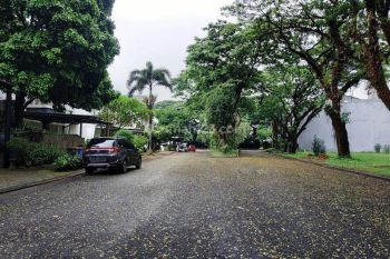 Sutera Lavender, 663meter