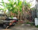 thumbnail-dijual-tanah-murah-sekali-dekat-ringroad-di-kasihan-bantul-yogyakarta-5