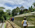 thumbnail-lokasisemi-villa-view-gunung-salakada-aliran-sungai-ngalir-di-bogor-5