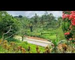 thumbnail-lokasisemi-villa-view-gunung-salakada-aliran-sungai-ngalir-di-bogor-7