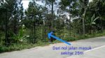 thumbnail-tanah-komersial-pacet-view-bagus-untuk-usaha-siap-bangun-di-mojokerto-3