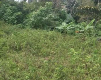 Tanah murah petapan bangkalan madura