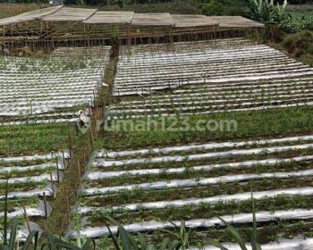 Di jual tanah pinggir jalan desa , lembang asri