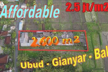 View Sawah Dan Gunung 2,600 M2 di Blahbatuh Ubud