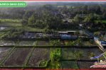 thumbnail-view-sawah-dan-gunung-2600-m2-di-blahbatuh-ubud-4