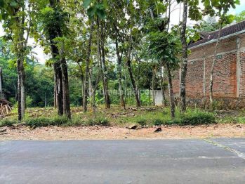 Dijual Kebun Durian Utara Pasar Mojogedang Karanganyar