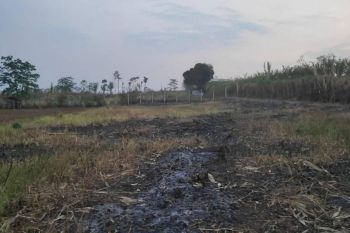 Dijual Tanah Strategis Kota Malang Dekat Taman Merjosari