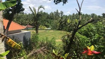 Tanah kebun murah sengan vew sawah di tabanan bali