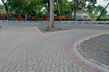 Paving Lumajang Termurah
