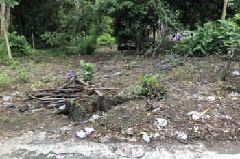 Timur UGM Science Techno Park Jogja, Legalitas SHM