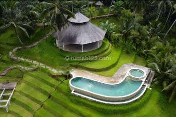 Stunning Ricefield View Family Resort Penebel, Tabanan Bali