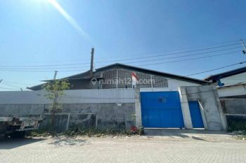 Gudang Murah di Osowilangon