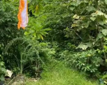 Tanah Global 1.3are di Wayan Gentuh