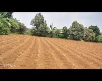 DIJUAL CEPAT Kavling di Jl. MANDOR TADJIR , CURUG , BOJONGSARI - DEPOK