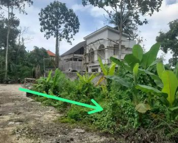 Lahan 2.5are Los Sungai di Cepaka dkt Tumbak Bayuh
