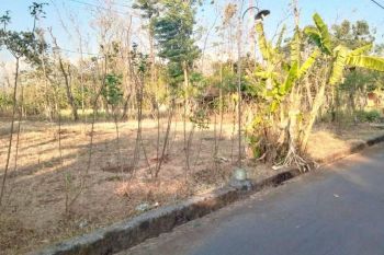 Tanah Luas di Nogosari Boyolali