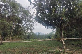 Dijual Tanah Hadap Timur Gunung Pancar sunrise