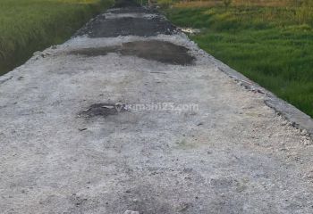 Tanah 15 di Tibubeneng SHM view sawah membentang