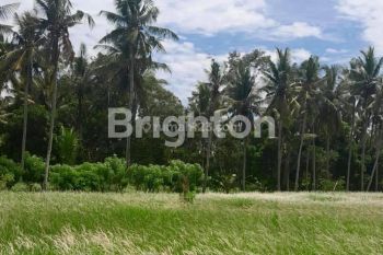 TANAH DENGAN VIEW JUNGLE YG LUAS DI LODTUNDUH, UBUD - BALI