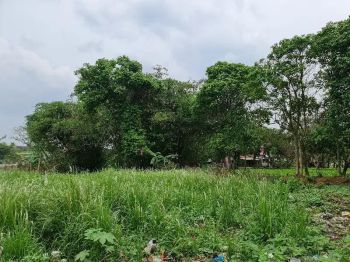 Tanah ini DIJUAL CEPAT