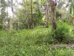 thumbnail-greet-land-dijual-tanah-ubud-3