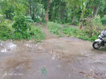 TANAH PEKARANGAN MANGKU JALAN COR DEKAT JALAN PARIS JK11675