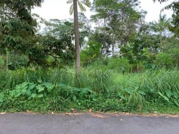 Tanah Luas & Murah Iklim Sejuk Hadap Jalan Aspal