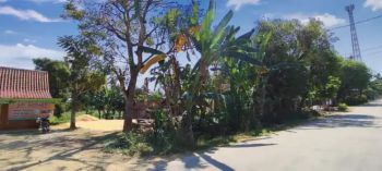 Dijual Tanah Murah Tepi Jalan Alternatif Ngawi - Bojonegoro