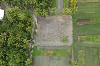 Tanah Dijual Pengasih, Barat Pengadilan Agama Wates