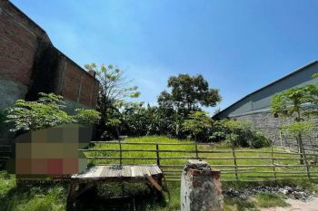 Tanah Kavling Dekat Sekolah Al Binaa Boarding School Di Pabayuran