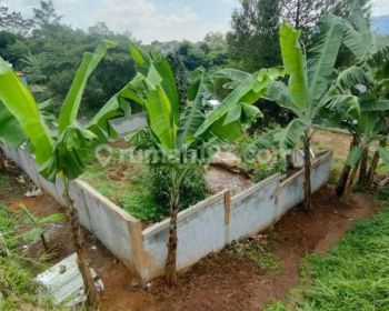 Dijual Tanah Bonus BANYAK Puri Arraya Cicadas Ciampea Bogor Barat