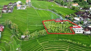 Dijual Tanah Strategis View Sawah di Kawasan Villa Turis di Jalan Tumbak Bayuh