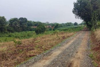 Dekat Jalan Raya Parung Tanah Kavling Murah Area Bojonggede