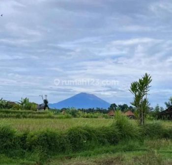 Dijual Tanah 1000m2 di Sayan Ubud Bali Seberang Four Season SHM