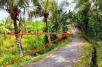 thumbnail-dijual-tanah-1000m2-di-sayan-ubud-bali-seberang-four-season-shm-2