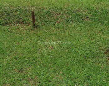 Jual Kavling Cajuputi De Park Bsd Kawasan Exclusive Luas 400an