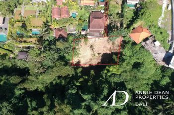 FREEHOLD LAND WITH JUNGLE AND RIVER VIEWS NEAR SUWETA UBUD