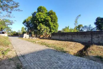 Tanah Murah Dekat Masjid Suciati cuma 200 Jutaan Aja