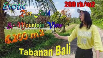 Langka Luas Lahan 62 Are Persawahan Datar Landai