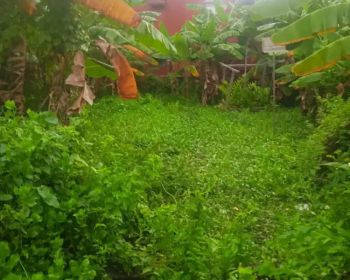 Dijual tanah kosong di bulak perwira,bekasi utara,kota bekasi.