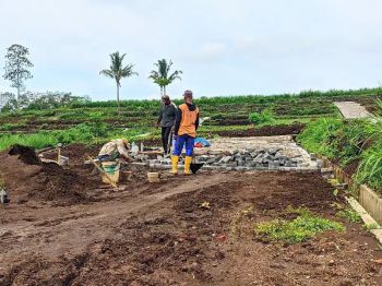 prospek lokasi dingin dataran tinggi
