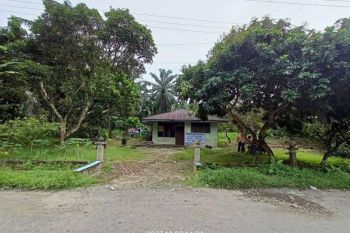 Di Jual Tanah Dan Bangunan