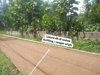 Di Juall Tanah Kebun Murah Sudah Di Pagar Keliling Luas 400 Meter