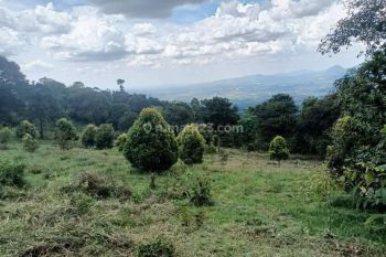 Tanah Best View Bogor Cijeruk Gunung Salak