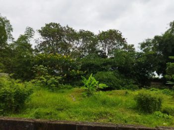 Tanah Junrejo 7 Menit Ke Kampus UMM Sertifikat Hak Milik Zona Hunian