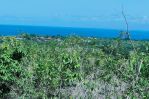 thumbnail-tanah-full-ocean-view-du-balangan-kuta-selatan-badung-bali-4